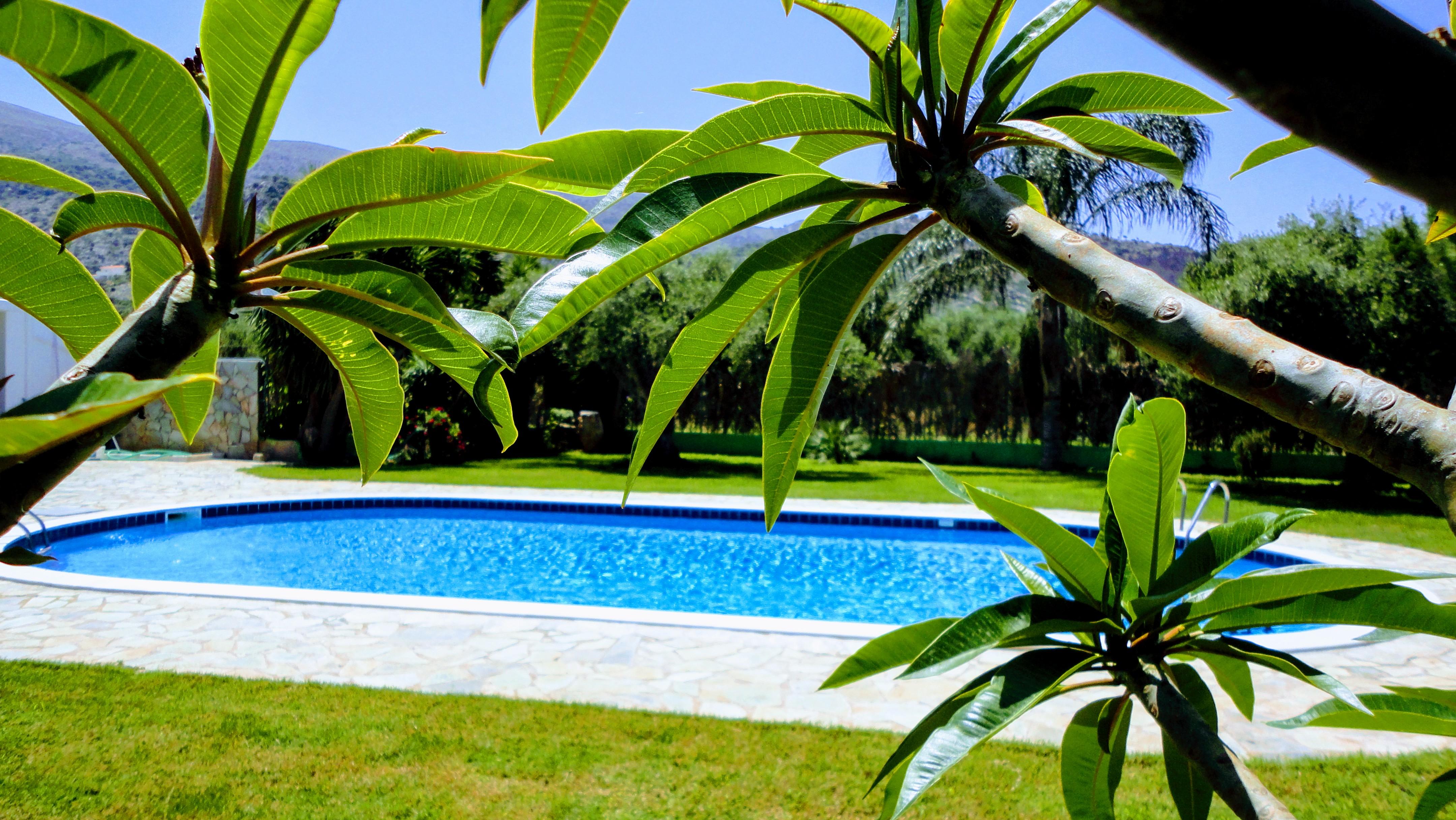 Ibiscus Hotel Malia Exterior foto