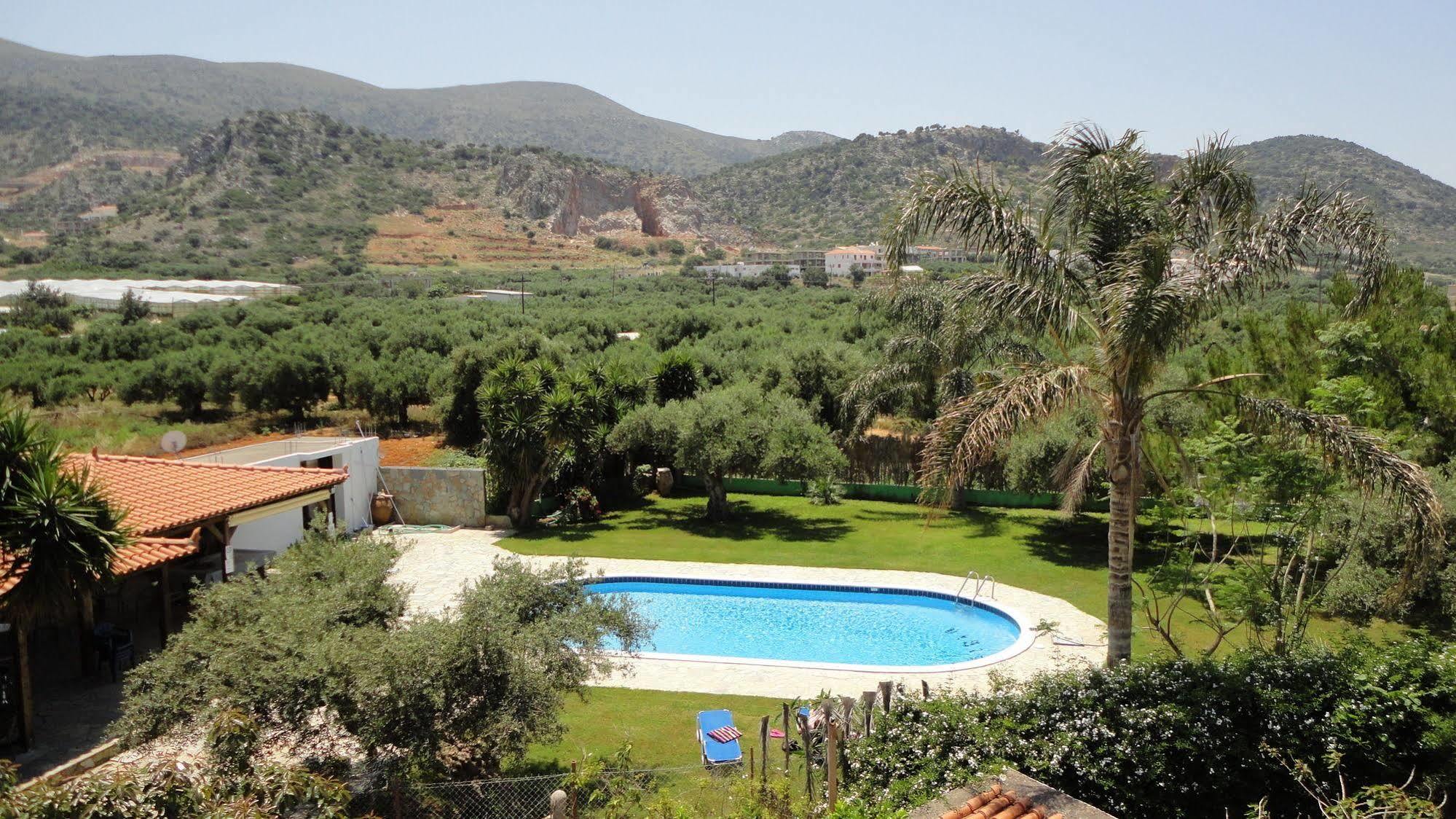 Ibiscus Hotel Malia Exterior foto